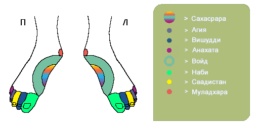 Проекции чакр на руках и на ногах